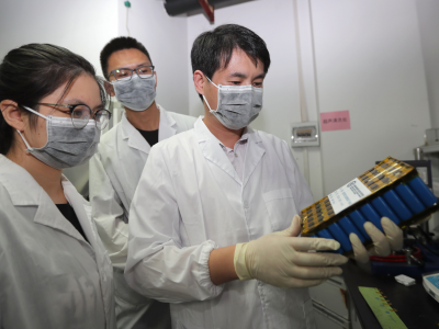 一体化柔性超快充放电池在深圳成功研发