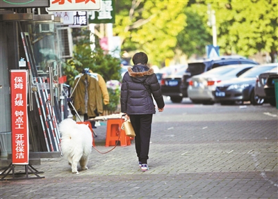 遛狗不牵绳、不清理粪便？多地出台“最严”犬类管理条例