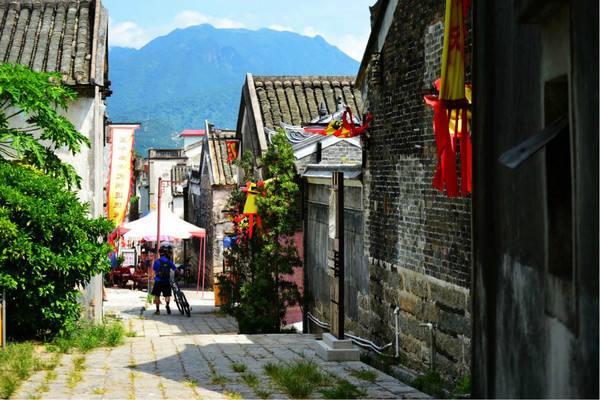 王京东访谈：以走在最前列的标准建设高质量“美丽大鹏” 