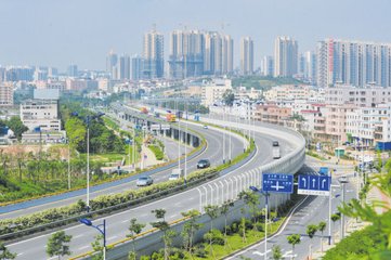 龙岗区用这项工作来锻炼干部，大家都说特别接地气特别锻炼人