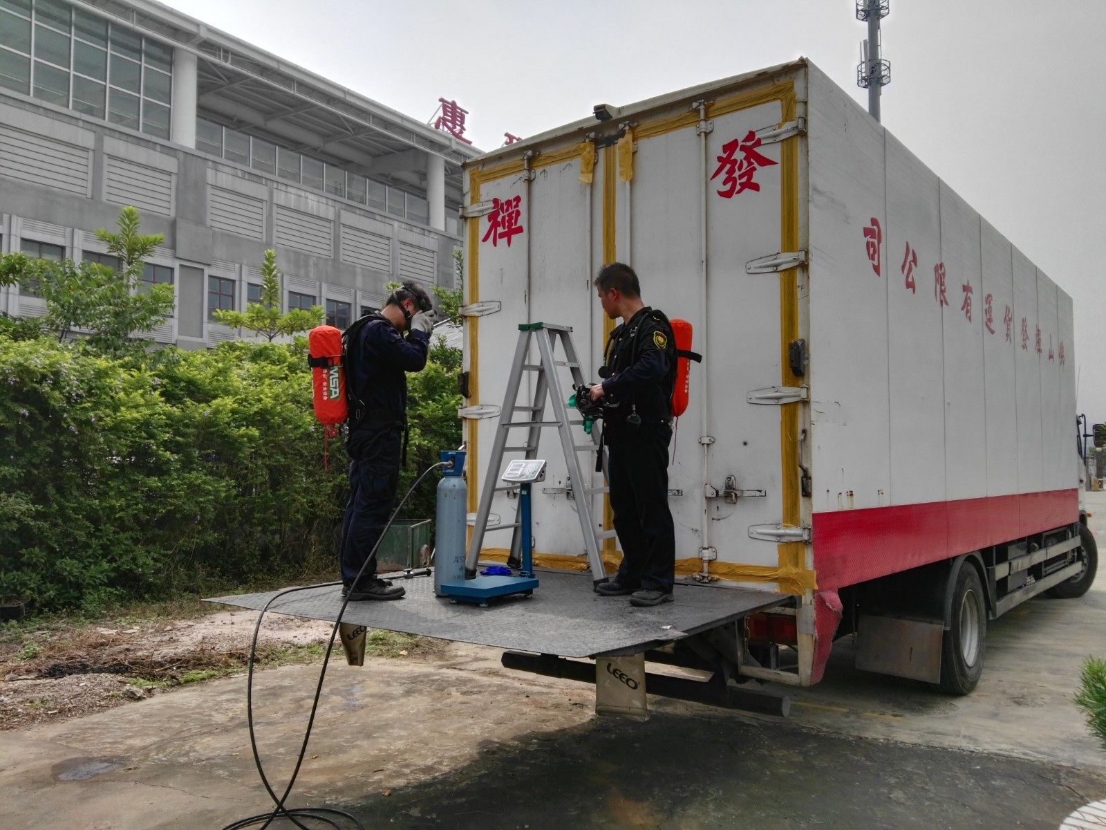 3只老鼠藏身快件车欲“偷渡”入境  深圳海关捕获“不速之客”