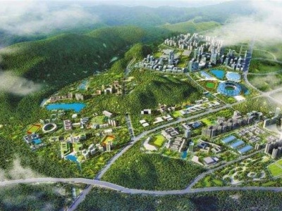好消息！明年深圳将加快筹建这些大学！
