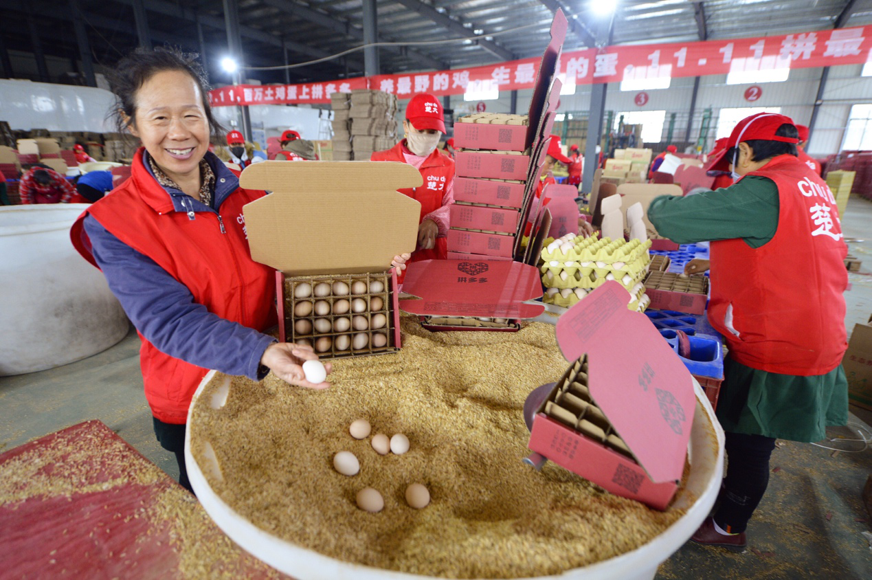 双11农货必买清单出炉！上万专业养殖户直供土鸡蛋