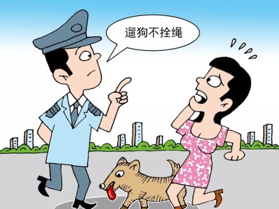 杭州回应“最严”养狗令 消除“人狗矛盾”关键应该管什么？