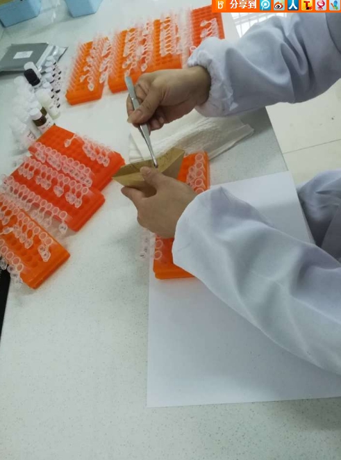 大鹏新区开展毛发检测助力戒毒帮教