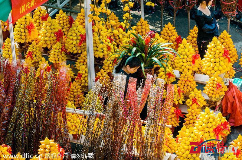 深圳迎春花市邀您进场 最低3000元可设展位
