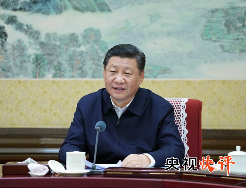 央视快评︱坚决做到“两个维护” ，将党中央决策部署落到实处