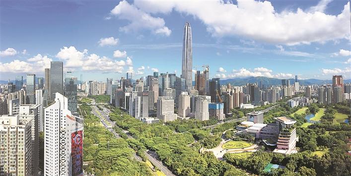 权威专家为推动高质量共建“一带一路”提供“深圳方案”