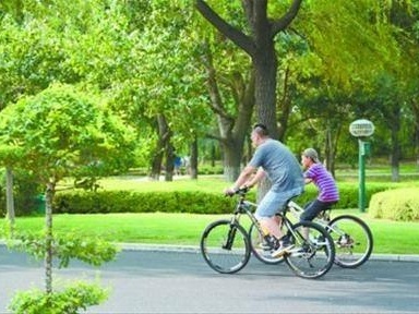 深圳市拟出台措施鼓励绿色出行