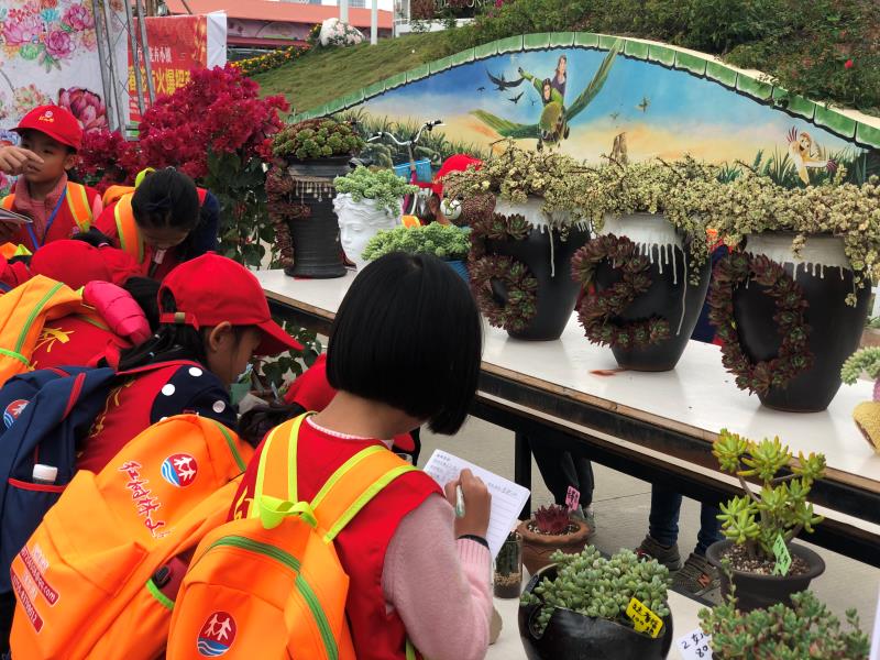 这里是“花境”！深圳多肉植物展百合小镇登场