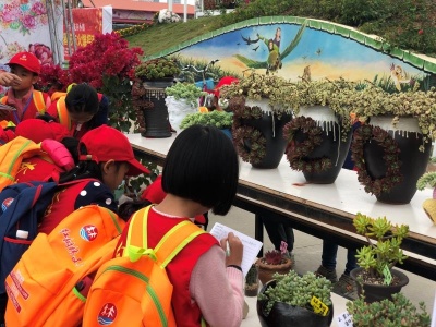 这里是“花境”！深圳多肉植物展百合小镇登场