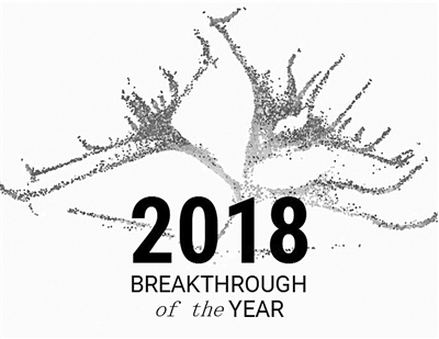 2018年十大科学突破：单细胞基因活性分析技术拔头筹