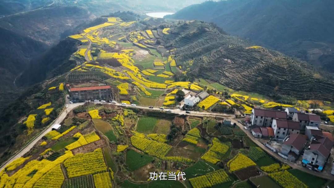 微视频丨为了你心目中的乡村