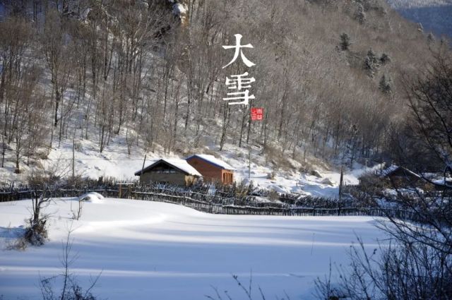 今日大雪，愿与你共白头