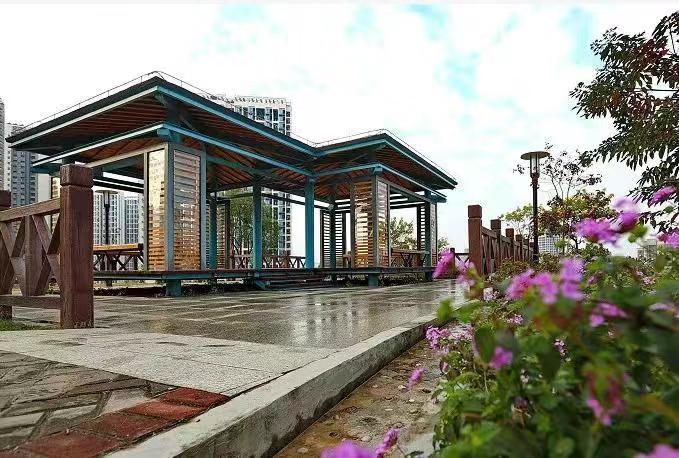 出家门就能逛公园！深圳今年完成新建改建公园60个