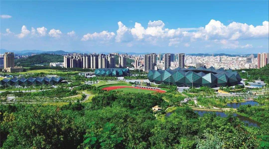 龙岗区探索构建基层特色新型智库体系