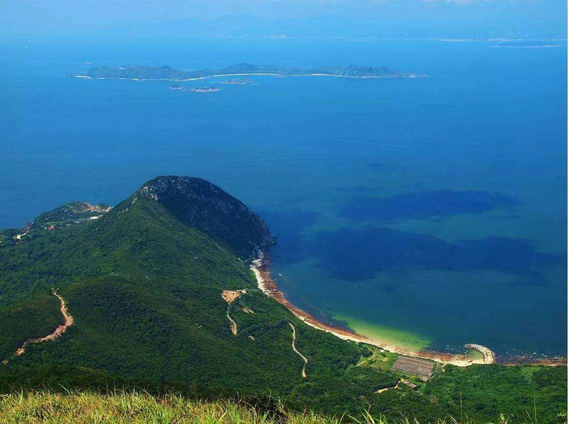大鹏新区探索海洋生态保护新路,率先开展珊瑚礁生态恢复