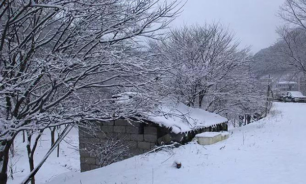 女学生雪天获救送锦旗致谢警方：大雪封山，救我狗命