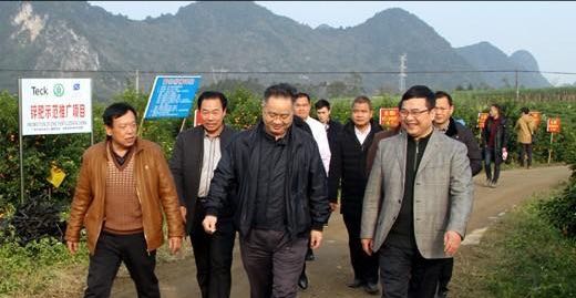 给力！“深圳力量”助广西河池签下千万元农产品销售订单