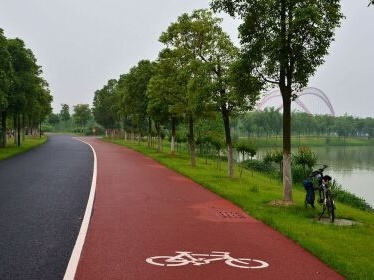 深圳今年建成多条独立自行车道，年度目标基本完成