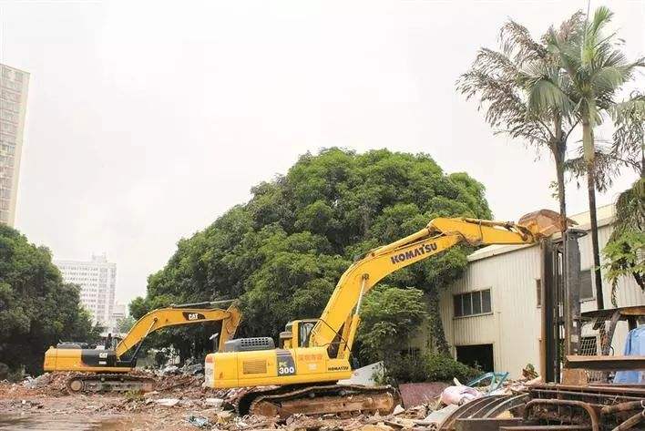 龙华提前1个月完成一级水源保护区违建拆除工作
