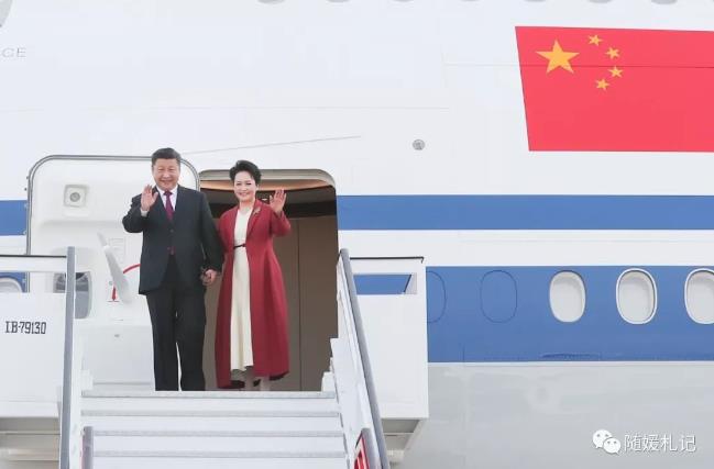 4万公里的飞行 只为遇见……