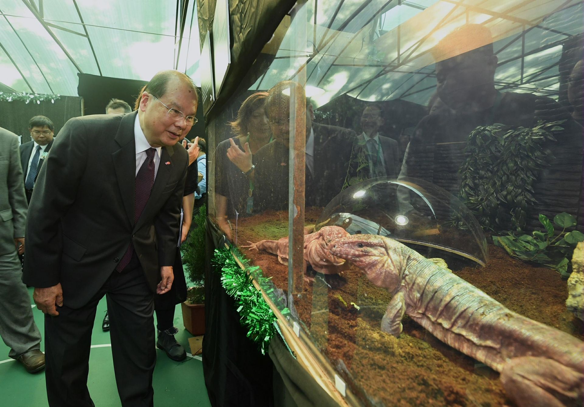感受大自然之美！香港举行花鸟虫鱼展
