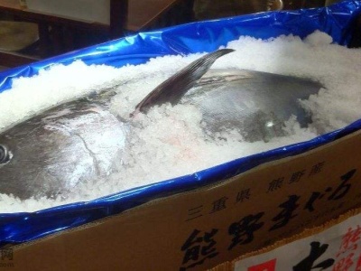 注意啦！香港检出日本吞拿鱼水银含量超出法例标准