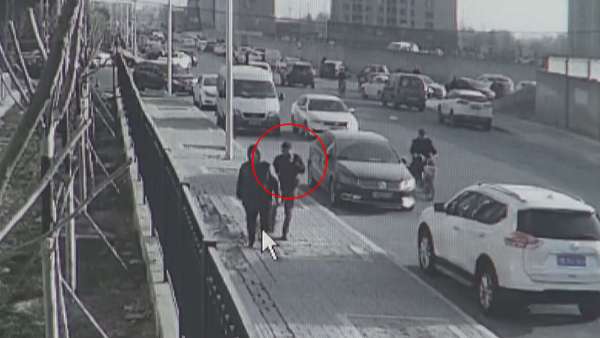 北京两男子专挑遛犬人“碰瓷”：一个月得手20余起，被刑拘
