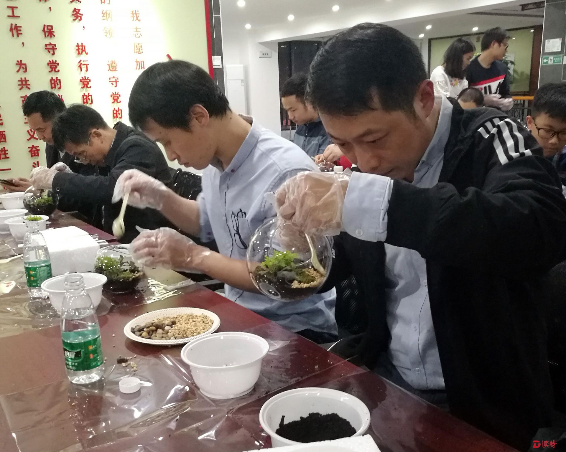 龙华街道“两新”党工委送祝福迎新年，辖区党员跟党走贺新春