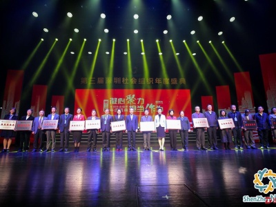 深圳首家提供综合性文化艺术服务的5A级社会组织来喽