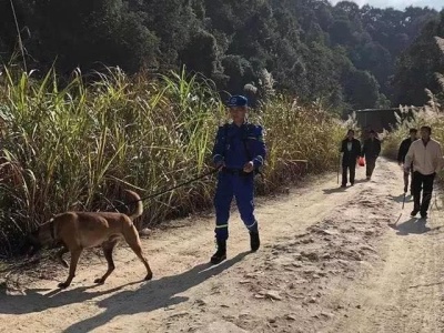 转发扩散！惠州3岁男童失踪90余小时 各方仍在全力搜寻