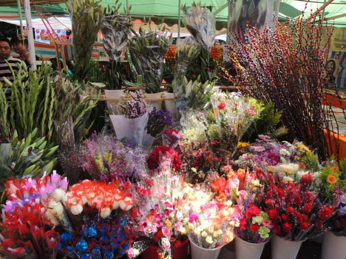 深圳迎春花市今年在这里开！还升级成了“花市+”