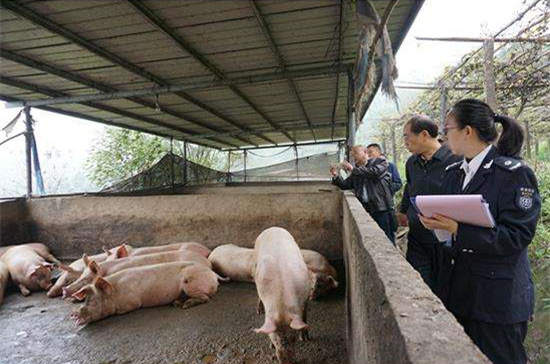 农业农村部：杜绝使用餐厨剩余物喂猪 不允许隐瞒疫情