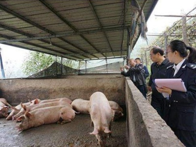 农业农村部：杜绝使用餐厨剩余物喂猪 不允许隐瞒疫情