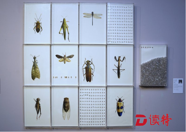 家门口的文化盛会，广东省第八届水彩、粉画展在罗湖美术馆开幕啦