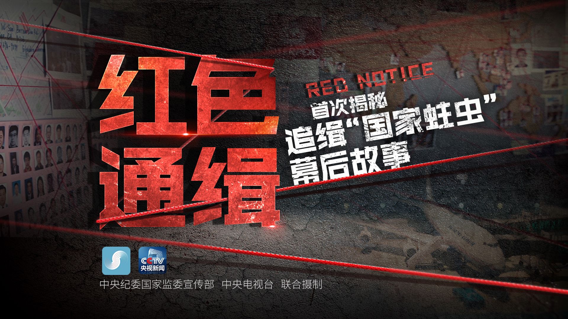 《红色通缉》第二集 织网