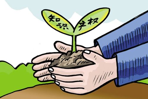 16队大学生“狭路相逢”  知识产权知识竞赛“过关斩将”