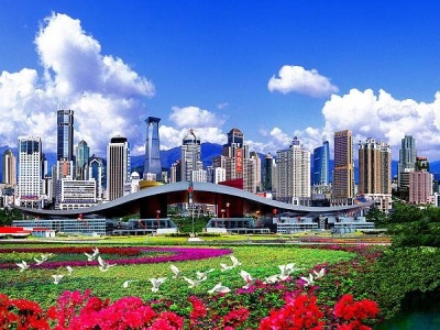 王岚委员：深圳可发力建设国际健康示范城市