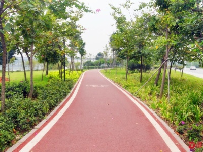 东莞道滘乡村如此多娇，20公里绿色慢行道贯穿镇村