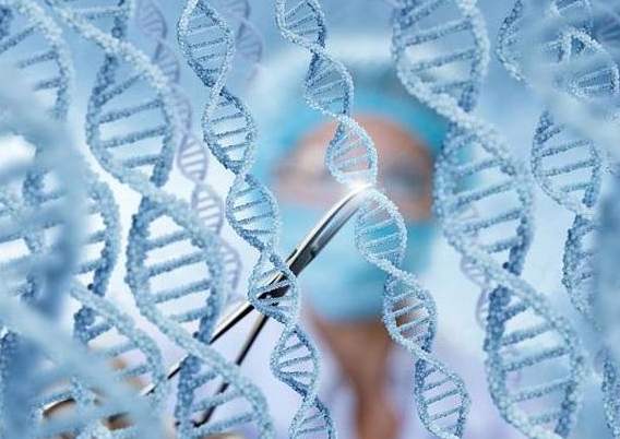 国家卫健委、科技部回应“基因编辑婴儿事件”调查结果