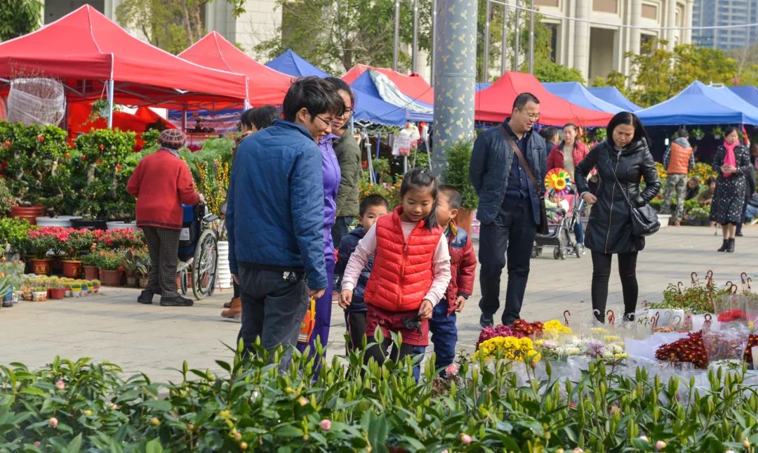 坪山迎春花市即将开始！花市攻略给你，准备约起来