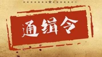 公安部发A级通缉令，这十个人涉重大侵财犯罪在逃