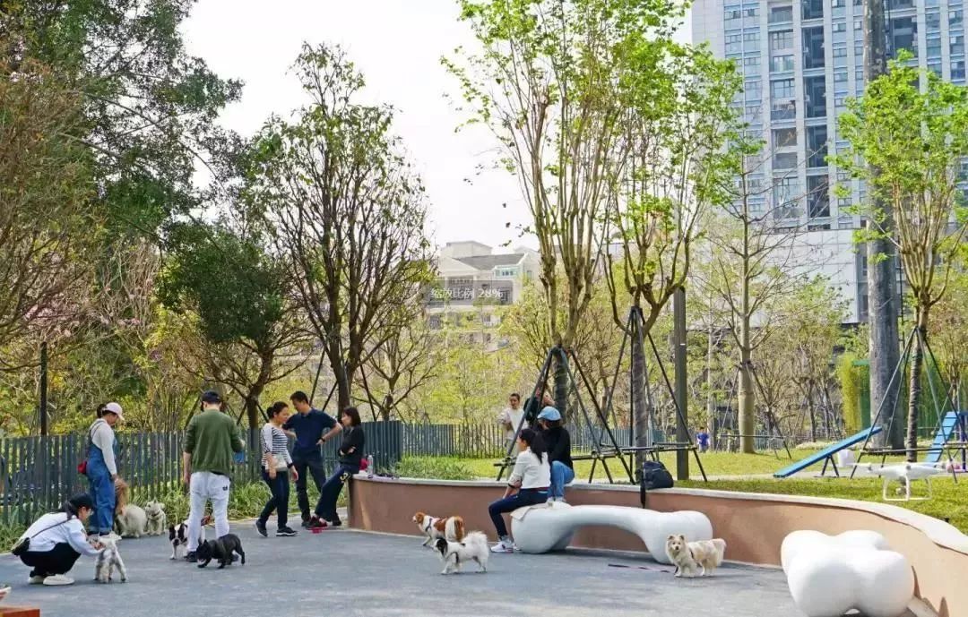 深圳这个主题公园上热搜了！再也不用担心没地方遛狗啦