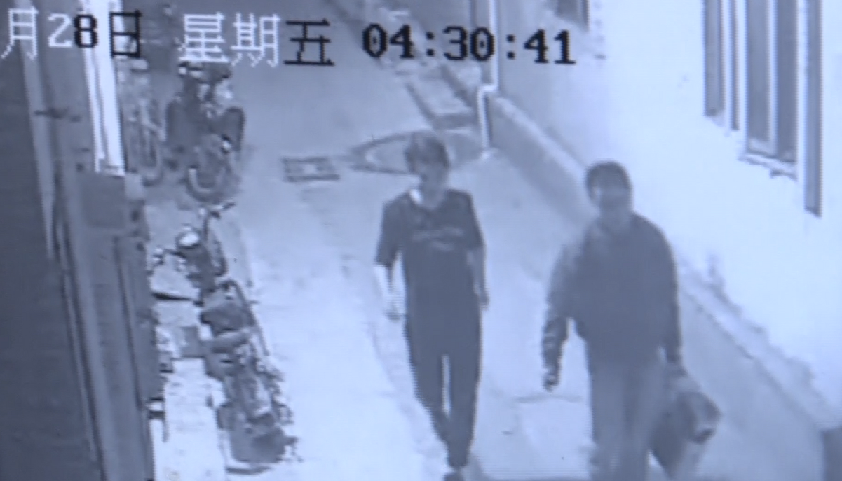 偷走房客鸽子欲报复房东 男子偷窃也闹乌龙终被抓