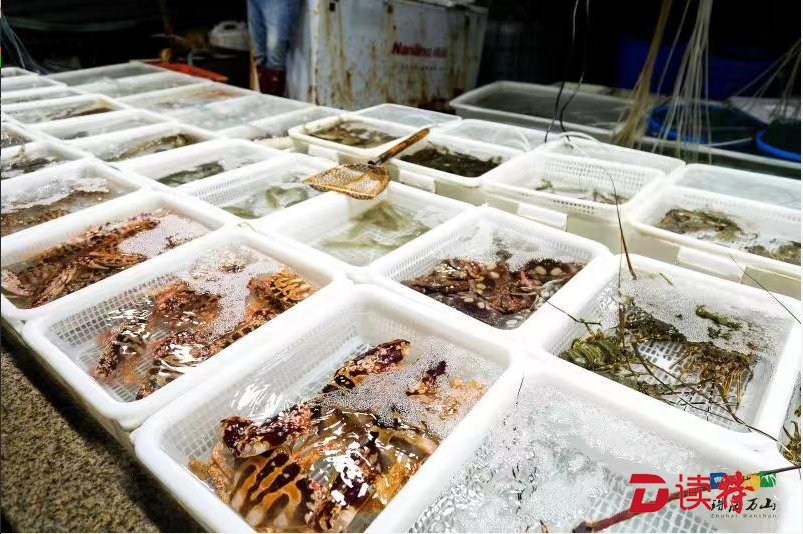 放假小众新去处！深圳人可到万山群岛领略海岛风情