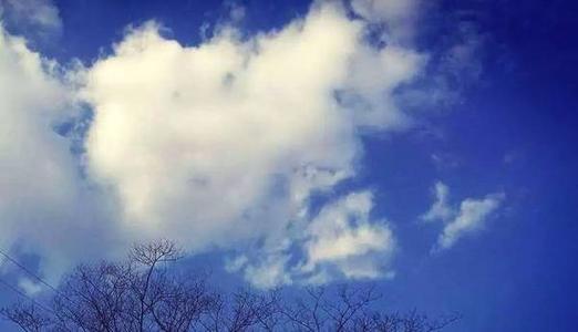 到除夕还有20度！深圳未来一周云量多湿度大