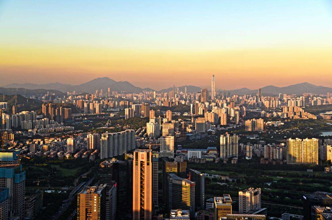 充分发挥社会多元主体作用  打造共建共治共享社区治理新格局