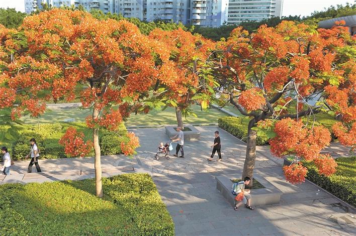 陈如桂参加市政协六届五次会议联组讨论  提升城市环境品质 提高民生保障水平