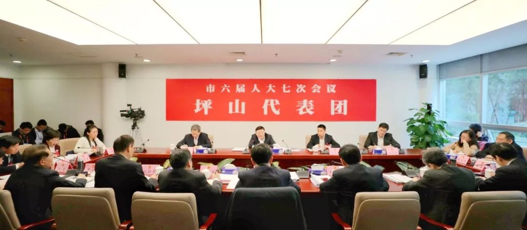 王伟中书记来到坪山代表团 听取代表意见，肯定坪山成绩